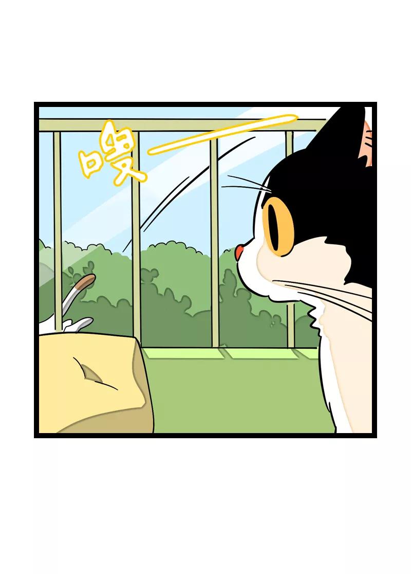 周一至周末 - 第20话 家庭地位 - 第18张图