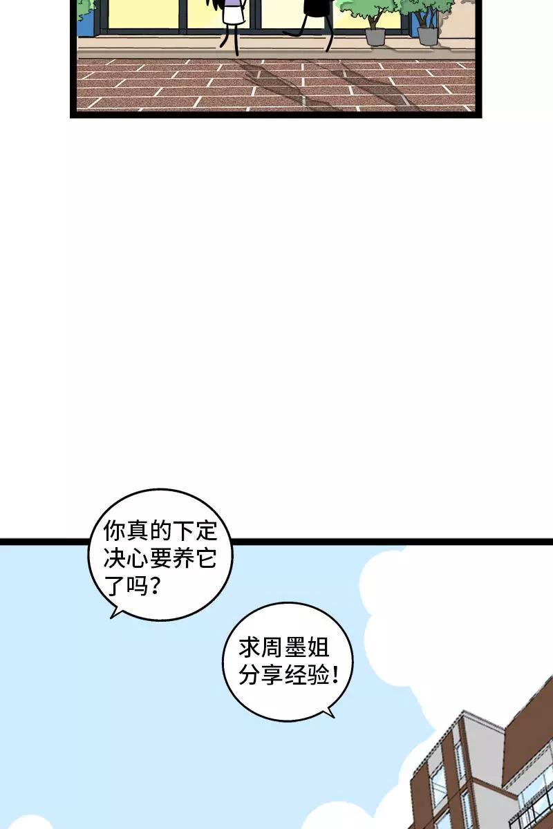 周一至周末 - 第70话 幸运的小狗 - 第5张图