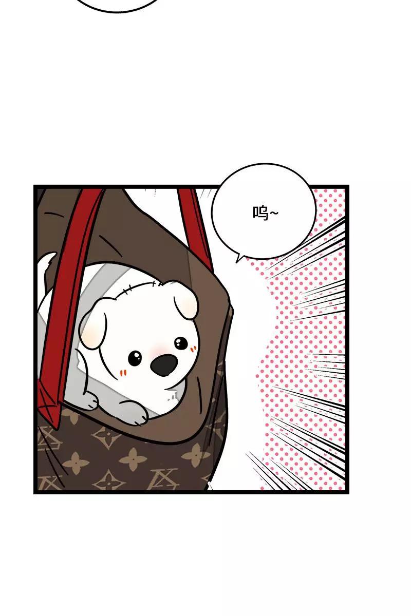 周一至周末 - 第70话 幸运的小狗 - 第38张图