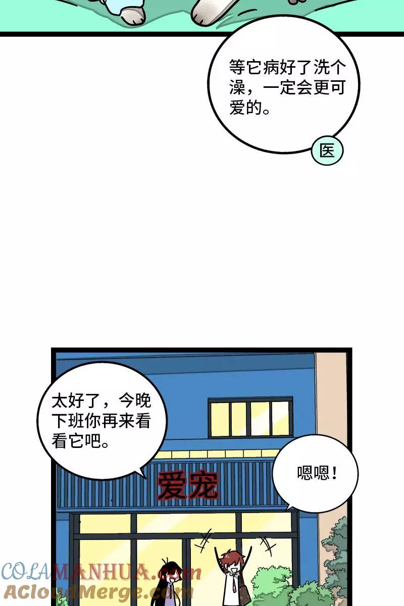 周一至周末 - 第70话 幸运的小狗 - 第4张图