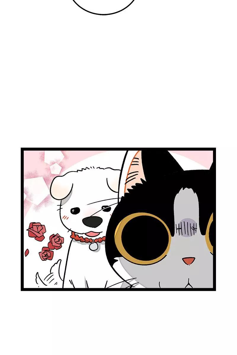 周一至周末 - 第73话 家的感觉 - 第15张图