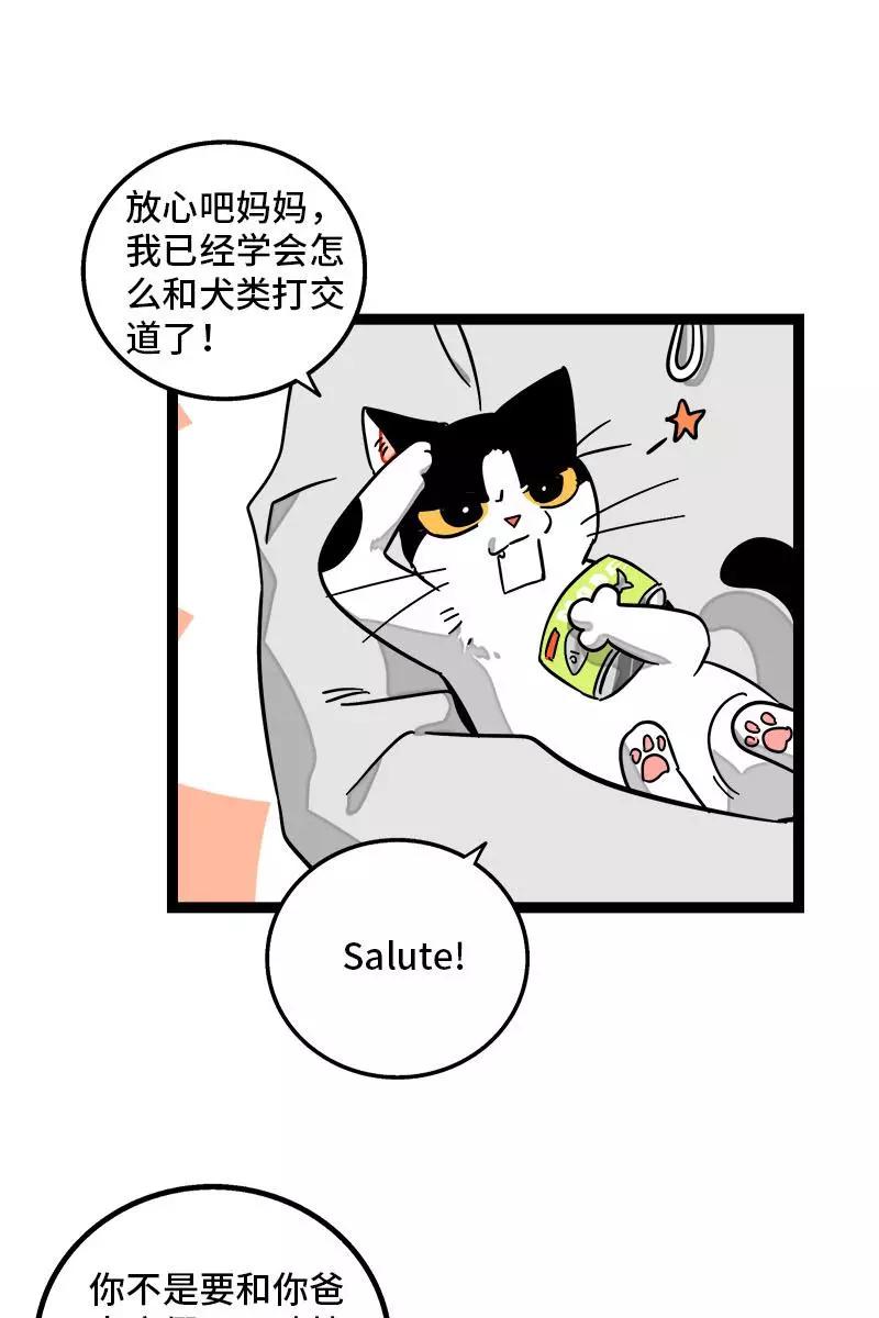 周一至周末 - 第94话 就地过年 - 第34张图