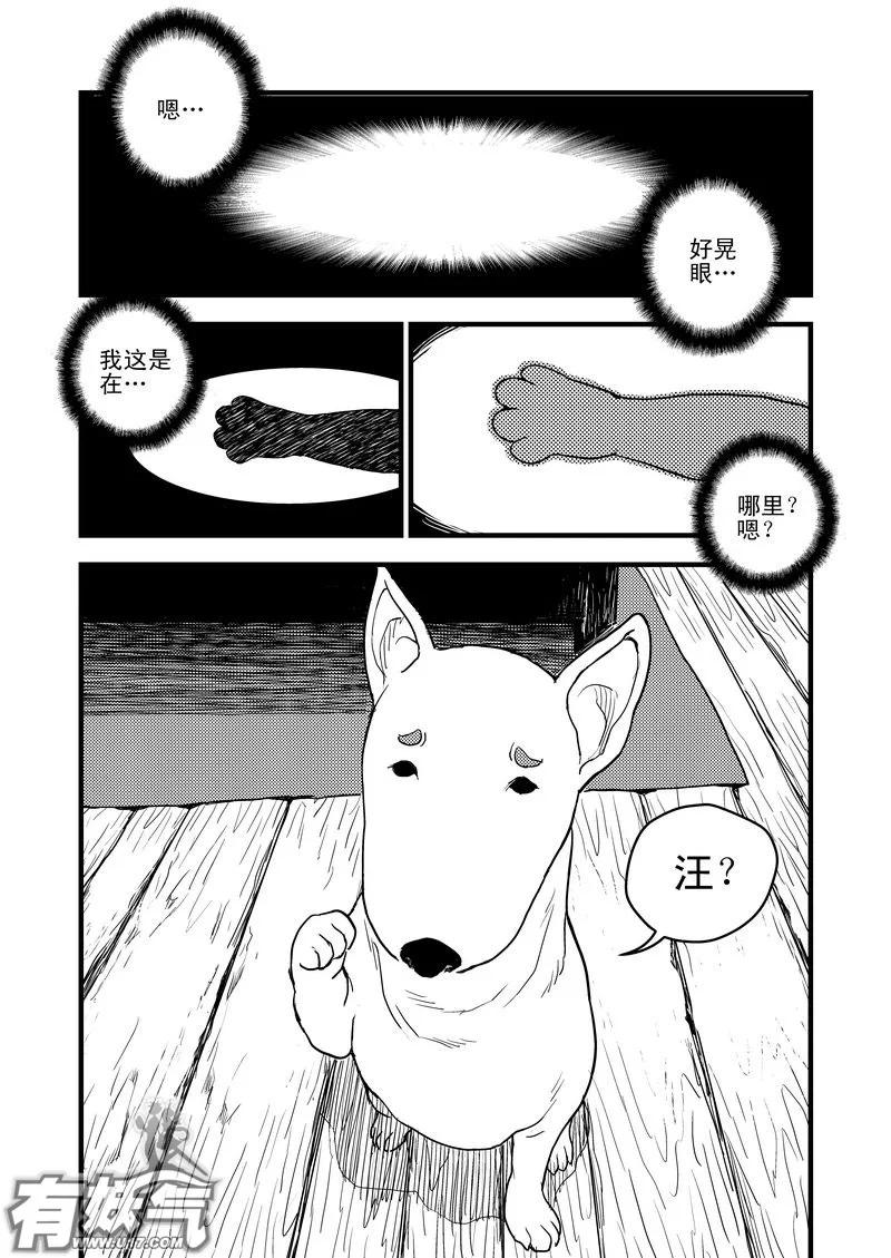 虎x鹤 妖师录 26 我不是小白 第8页