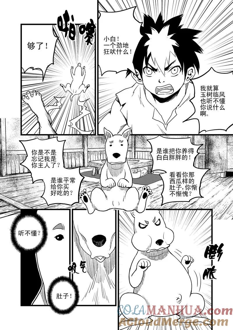 虎x鹤 妖师录 26 我不是小白 第13页
