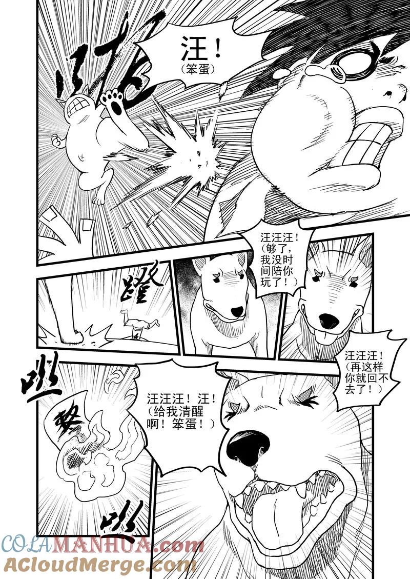 虎x鹤 妖师录 26 我不是小白 第15页