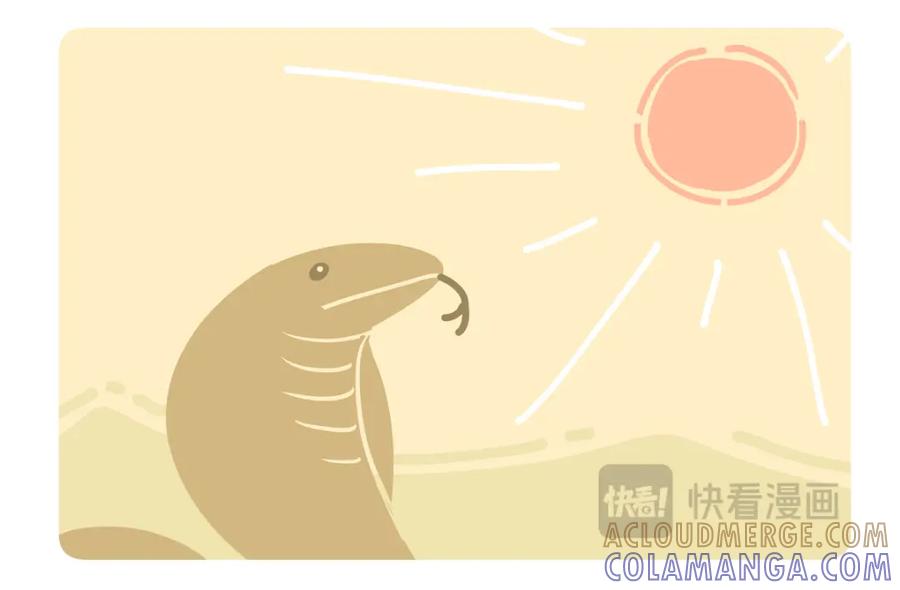 《胖达x胖达》第251话 第29页