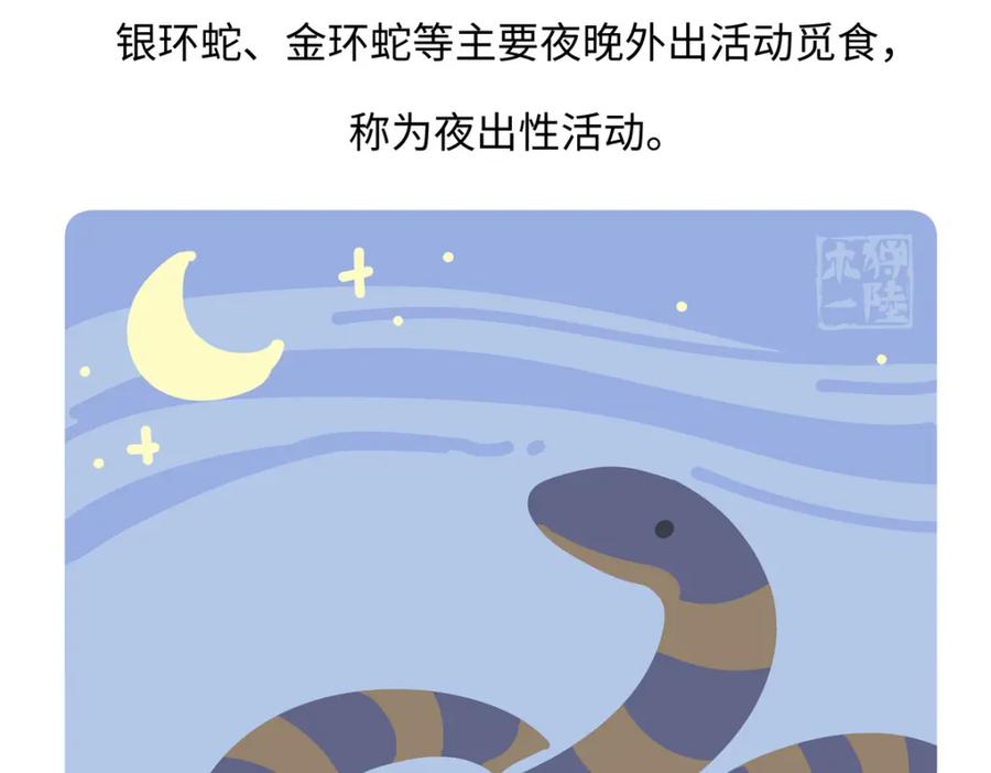 《胖达x胖达》第251话 第30页