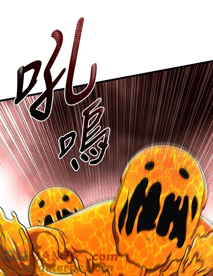 从满级开始升级 - 第65话 - 第113张图