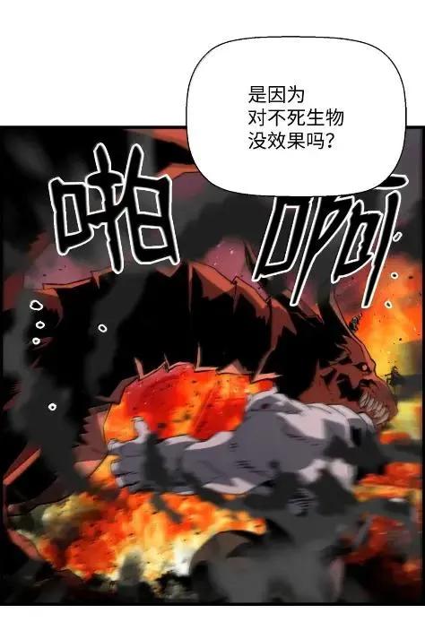 《死灵法师的进化特质》78 大战 第75页