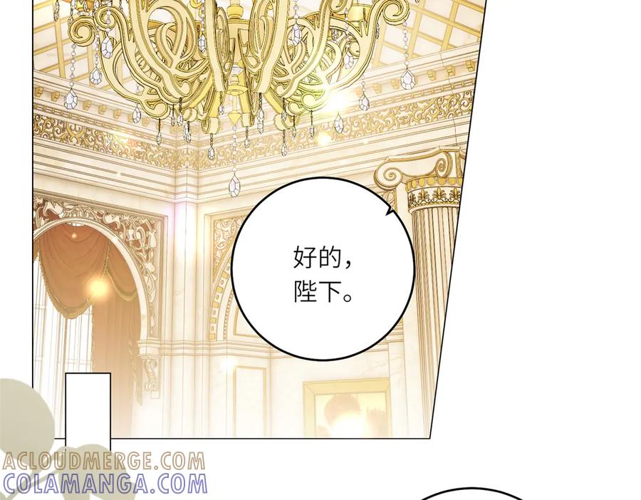 《转身成为恶女女王》第47话 暗中的筹划 第5页