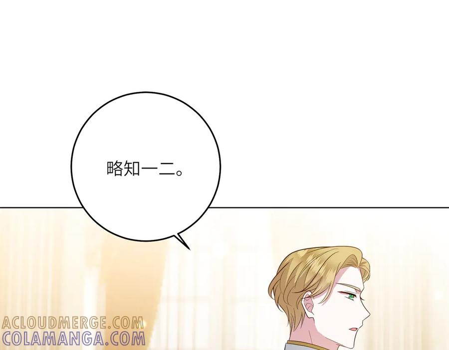 《转身成为恶女女王》第47话 暗中的筹划 第17页