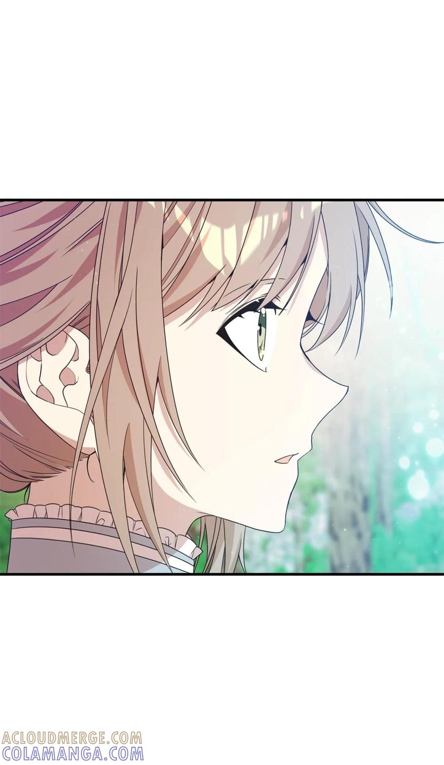 《虽然是魂穿游戏世界里女主的姐粉》20 魔法讲解 第7页