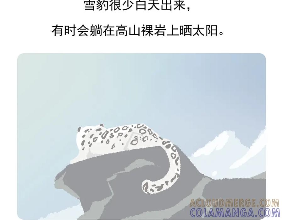 《胖达x胖达》第95话 第21页