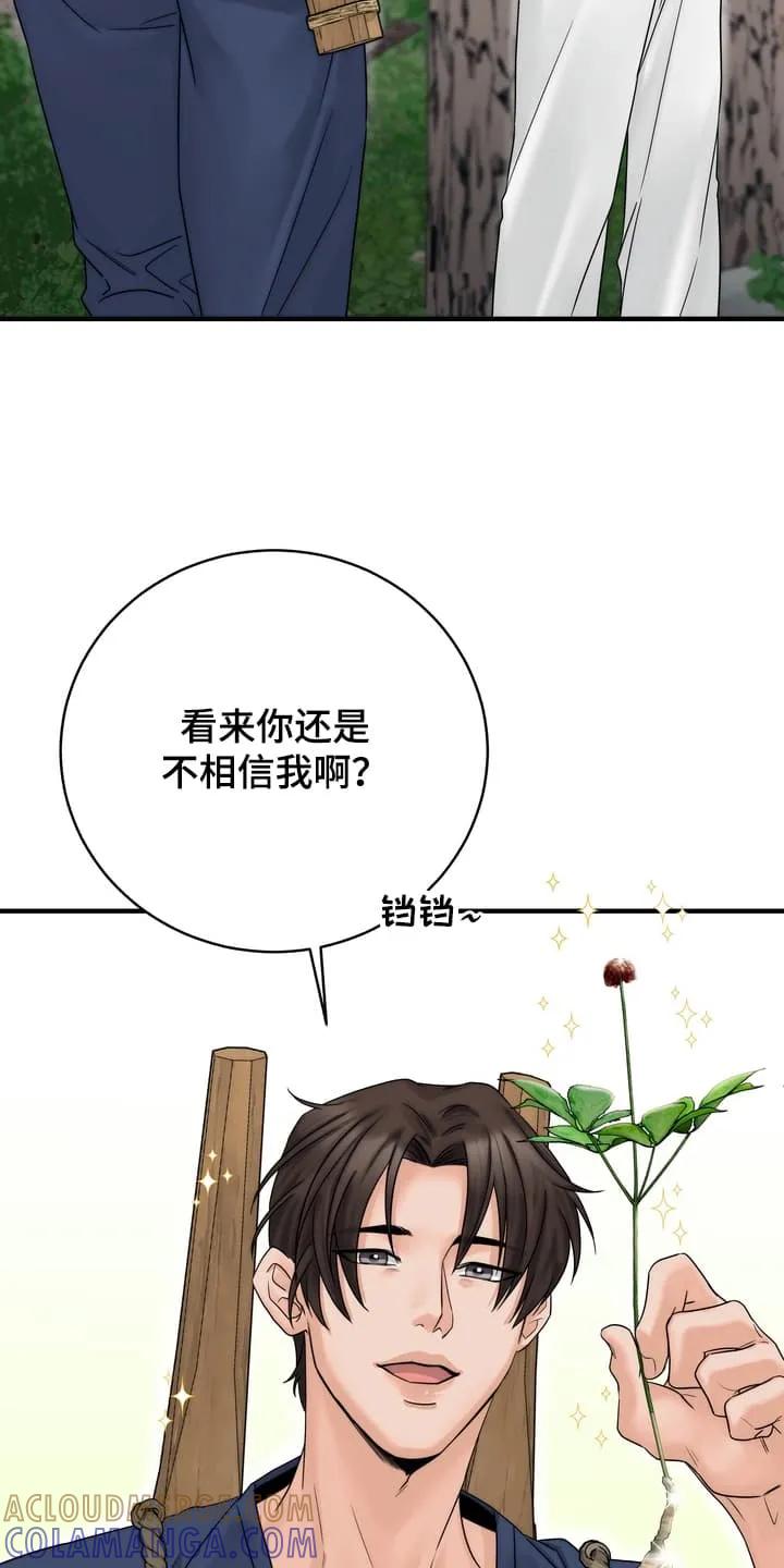 《雪落无声》第8章：上山采药 第13页