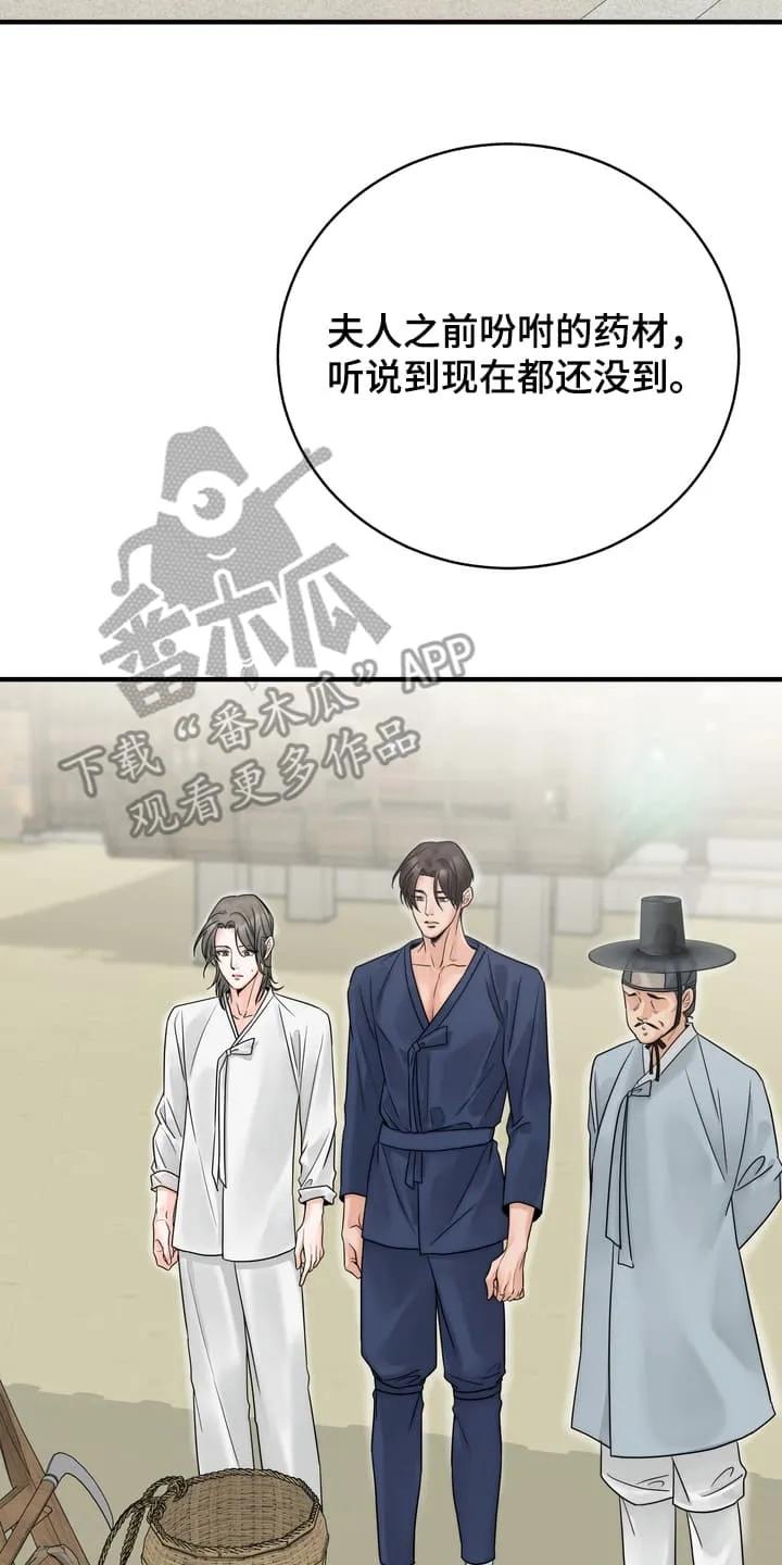 《雪落无声》第8章：上山采药 第2页