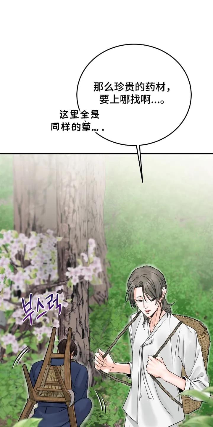 《雪落无声》第8章：上山采药 第10页