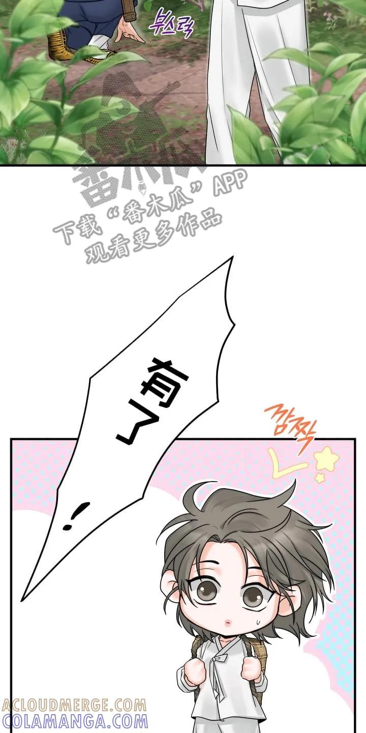 《雪落无声》第8章：上山采药 第11页