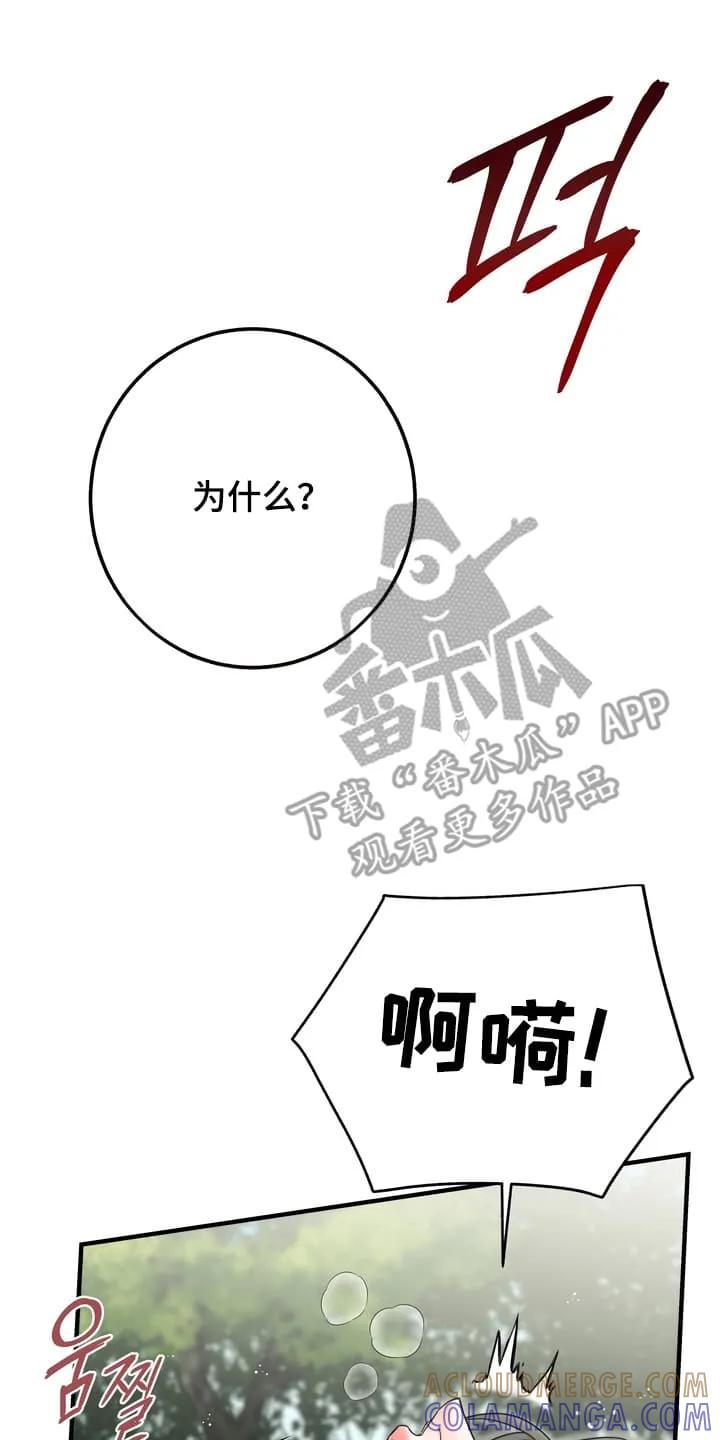 《雪落无声》第9章：学习成果 第29页