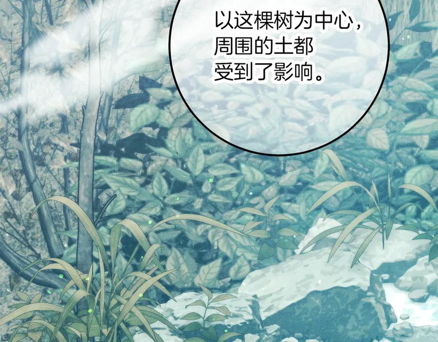 不幸的骑士，请和姐姐恋爱吧 - 第61话 永世受到的诅咒 - 第50张图