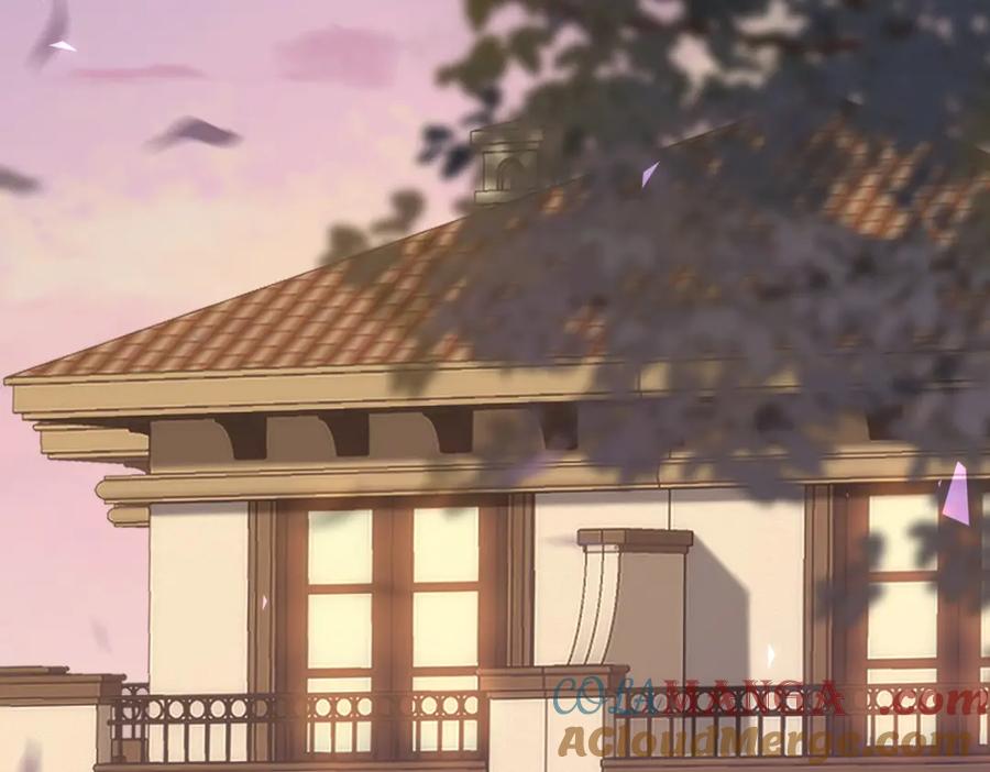 《和植物人大佬联姻》第37话 团宠苏晓梦 第41页