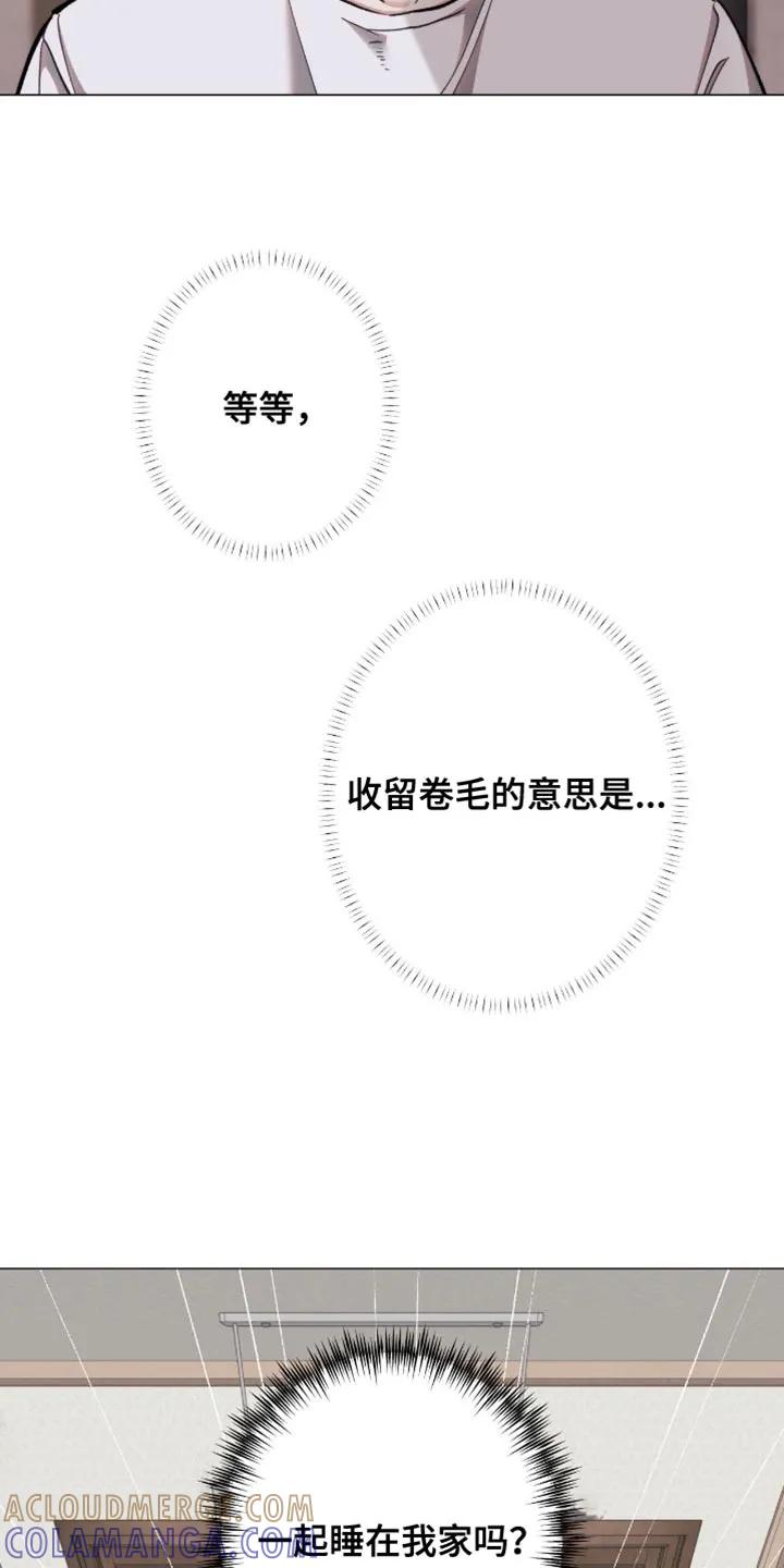 《海岛人生》第105章：【第二季】打招呼的方式 第5页