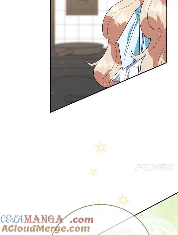 离婚后恶女专注烤蛋糕 - 63.皇帝的请求 - 第73张图