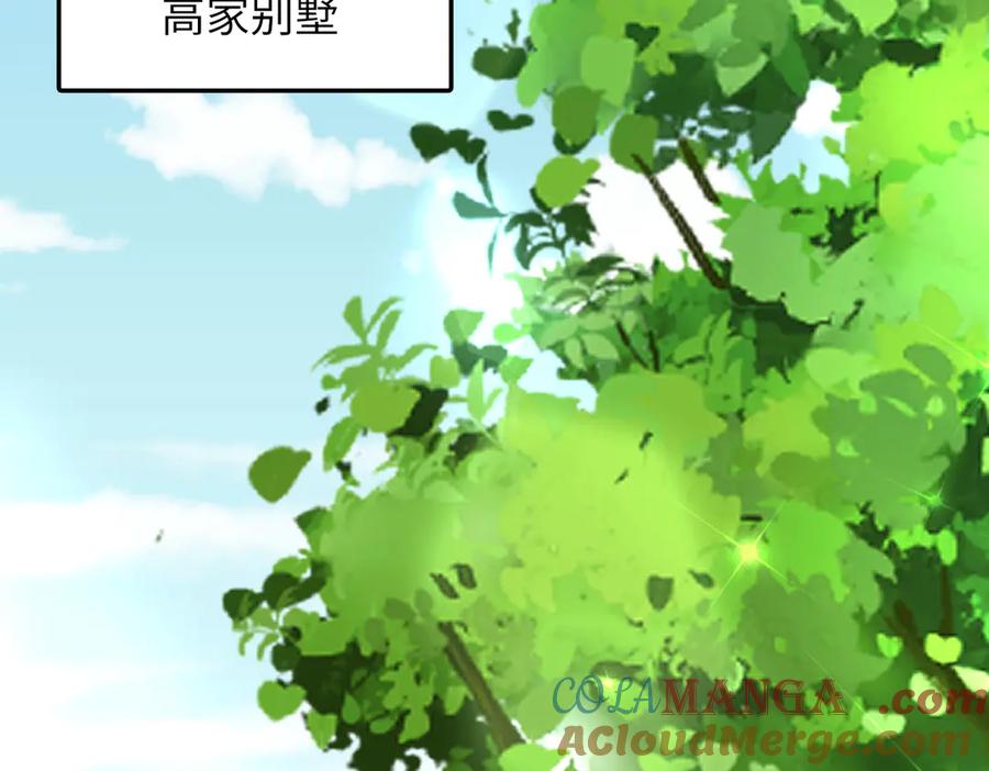 《转生誓做黑莲花：罪妻要复仇》苏若雪 第85页