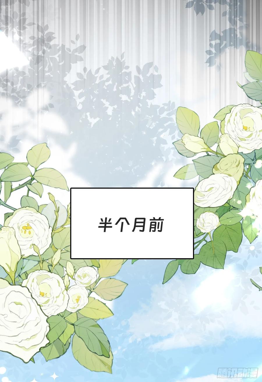 《转生誓做黑莲花：罪妻要复仇》预告 第10页