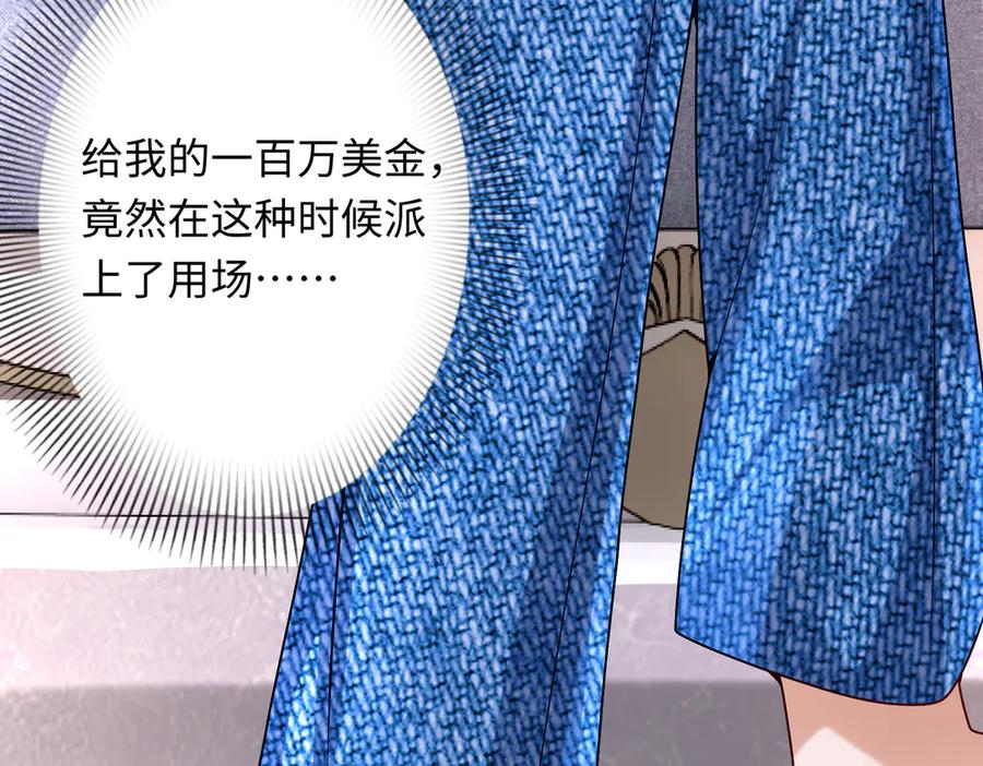 《转生誓做黑莲花：罪妻要复仇》高鸣调查 第94页