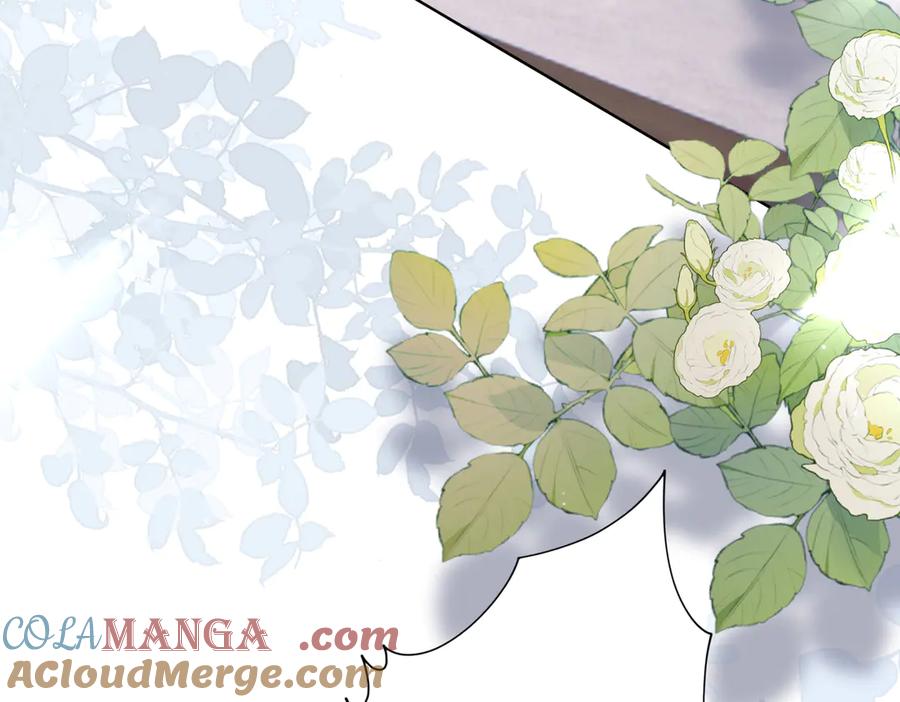 《转生誓做黑莲花：罪妻要复仇》葬礼 第13页