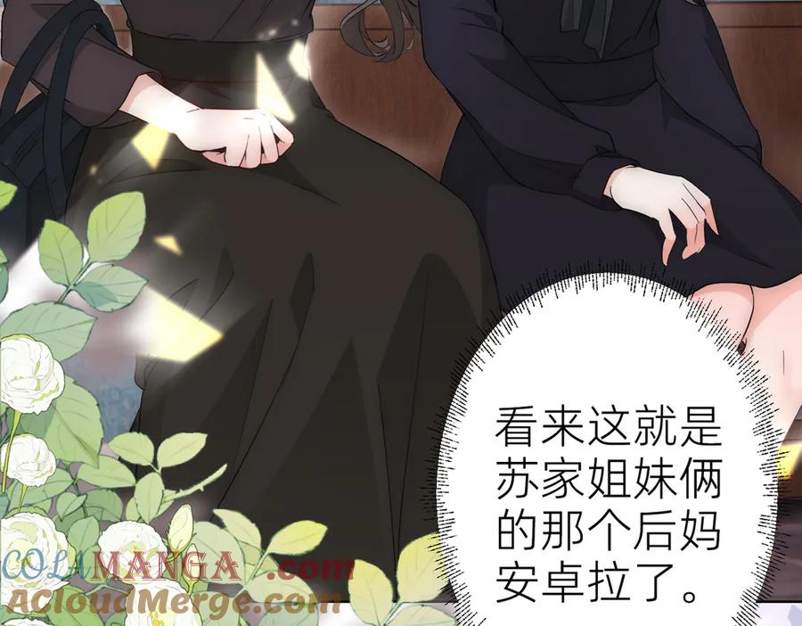 《转生誓做黑莲花：罪妻要复仇》葬礼 第53页