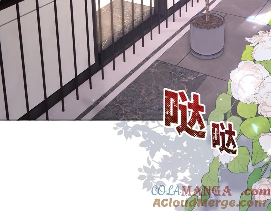 《转生誓做黑莲花：罪妻要复仇》葬礼 第121页