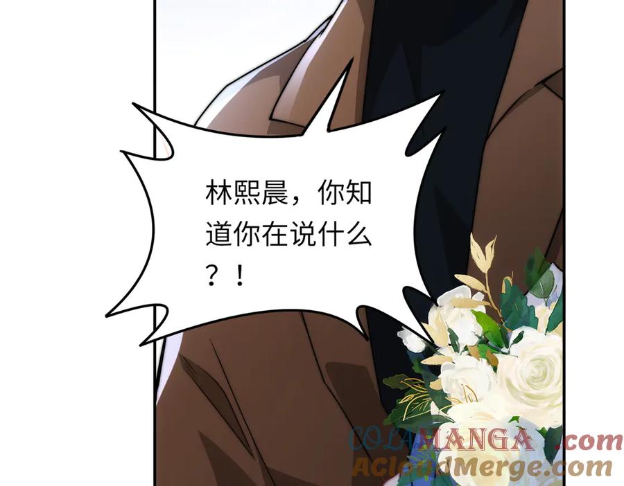 《转生誓做黑莲花：罪妻要复仇》林熙晨 第33页