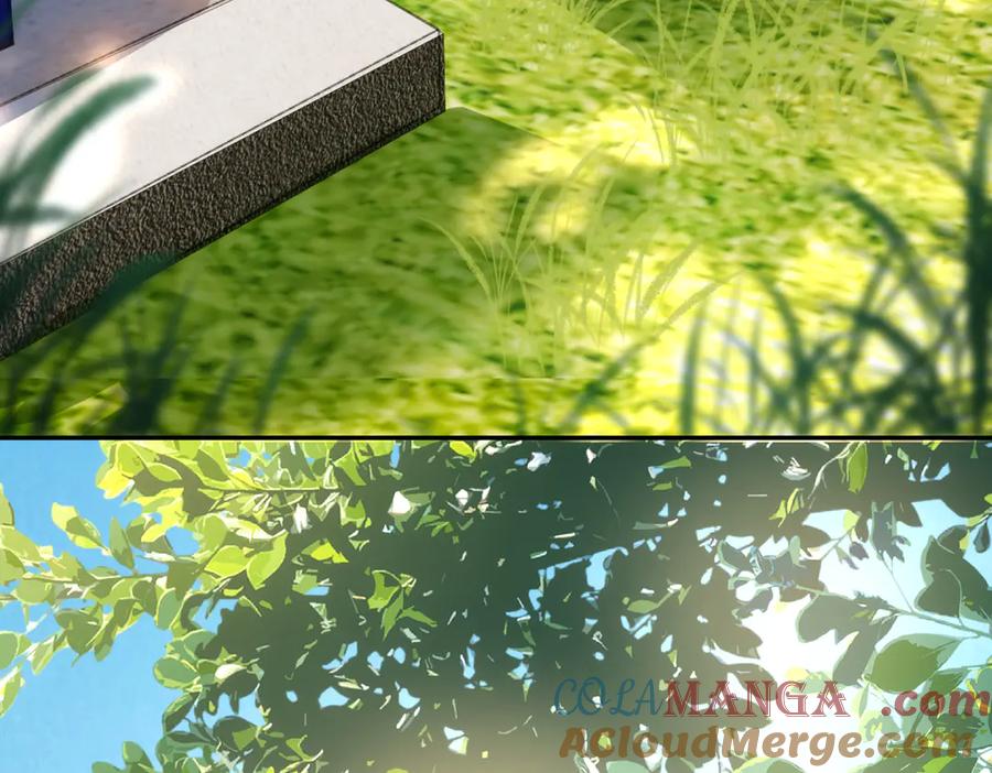 《转生誓做黑莲花：罪妻要复仇》林熙晨 第57页