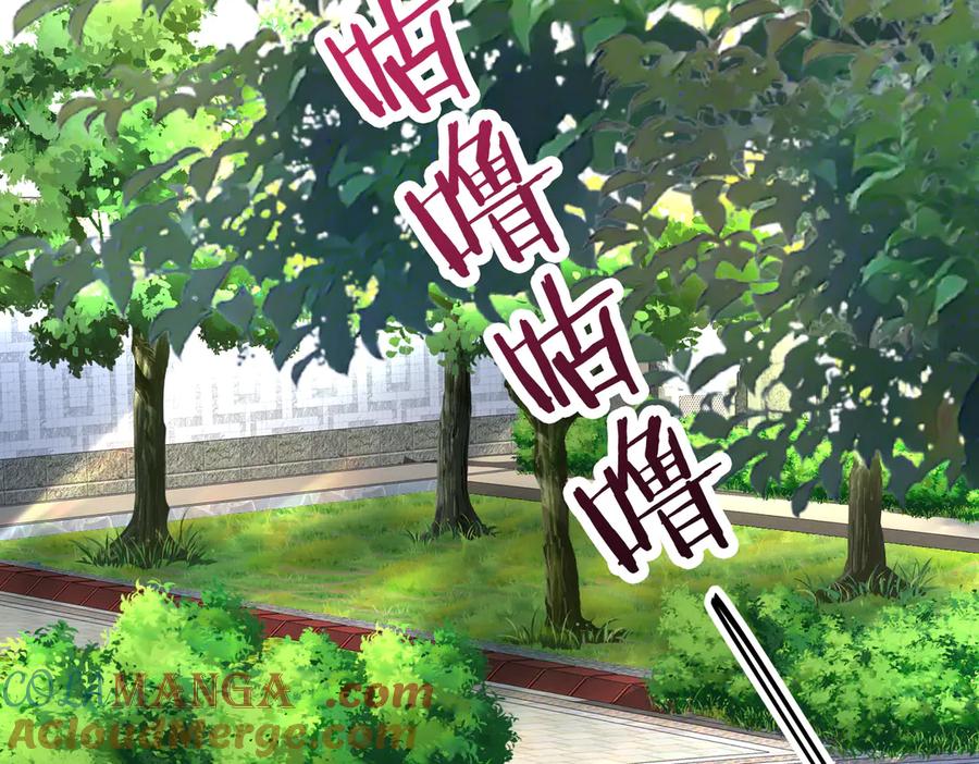 《转生誓做黑莲花：罪妻要复仇》林熙晨 第97页
