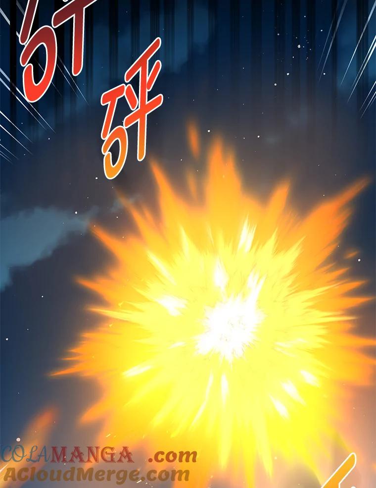 转生专家躺赢的方法 43.夜空下的烈火 第37页