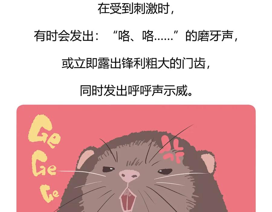 《胖达x胖达》第56话 第30页