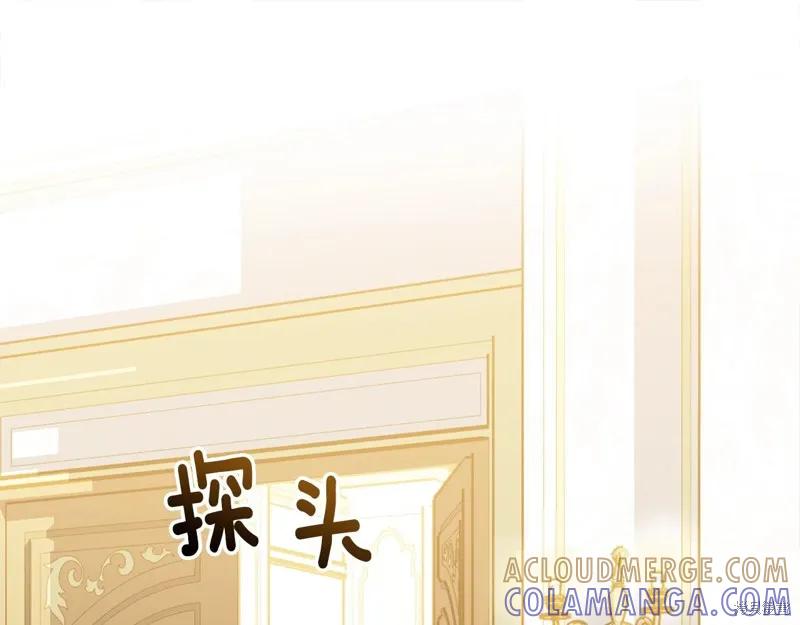 《明明是冷美人小姐却变成了忠犬大少爷》第72话 第77页