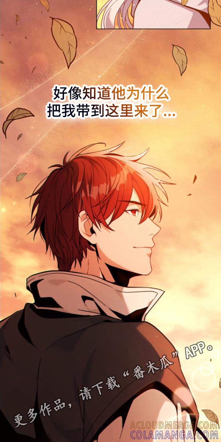 转世白月光 - 第20章：风景 - 第17张图