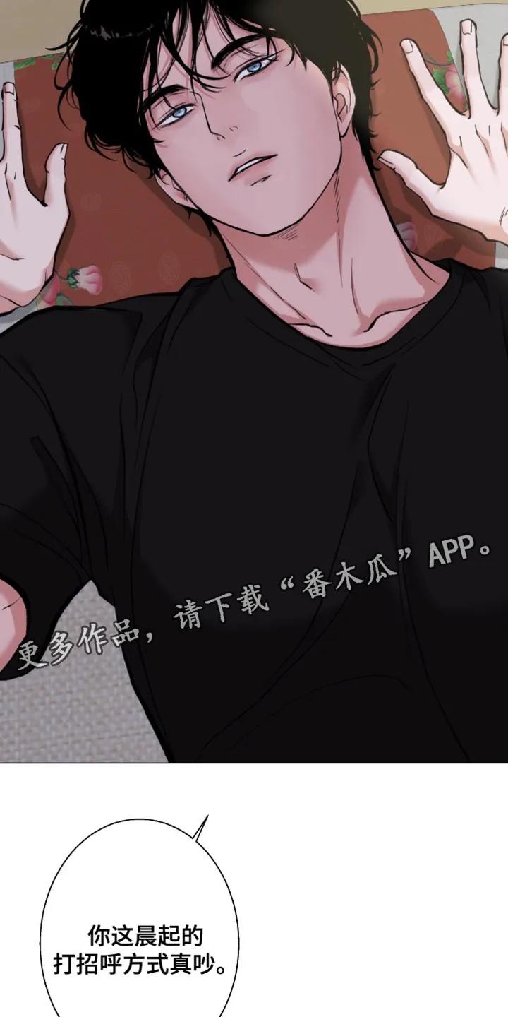 《海岛人生》第105章：【第二季】打招呼的方式 第28页