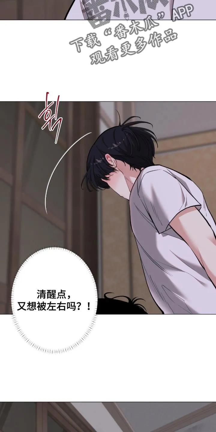 《海岛人生》第105章：【第二季】打招呼的方式 第24页