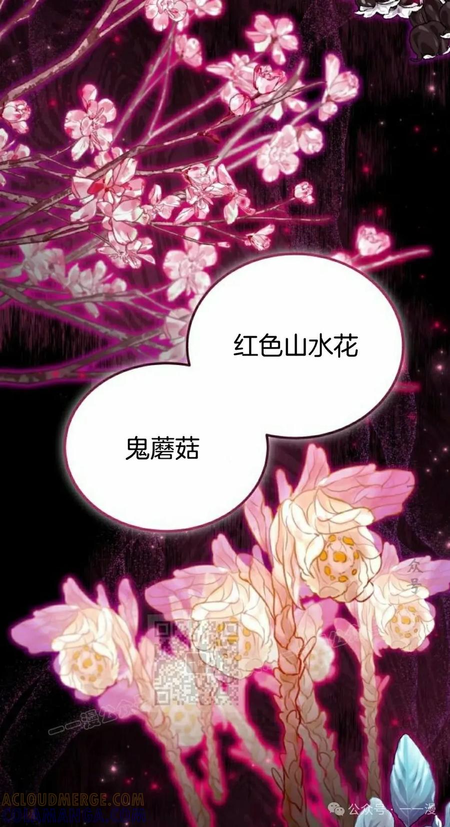 《转世的9级大魔法师》第5集 第33页