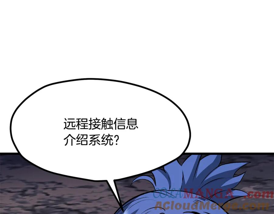 233.jpg