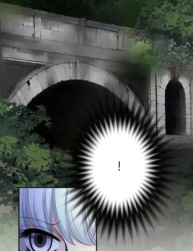 《第8位契约新娘》79.谋权篡位 第27页