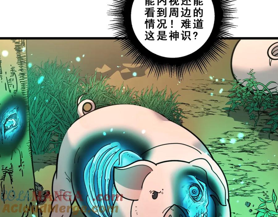 老蛇修仙传（蛇祖） 第2回 吐气吞纳神识开 第37页