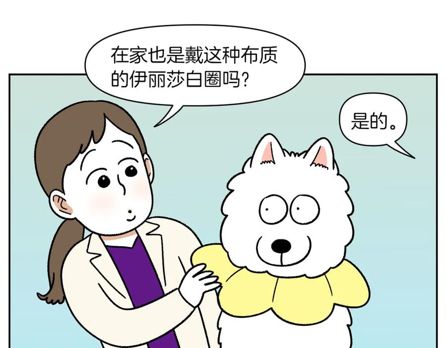 《我的狗子叫棉花》第43话 治疗眼病(2) 第35页