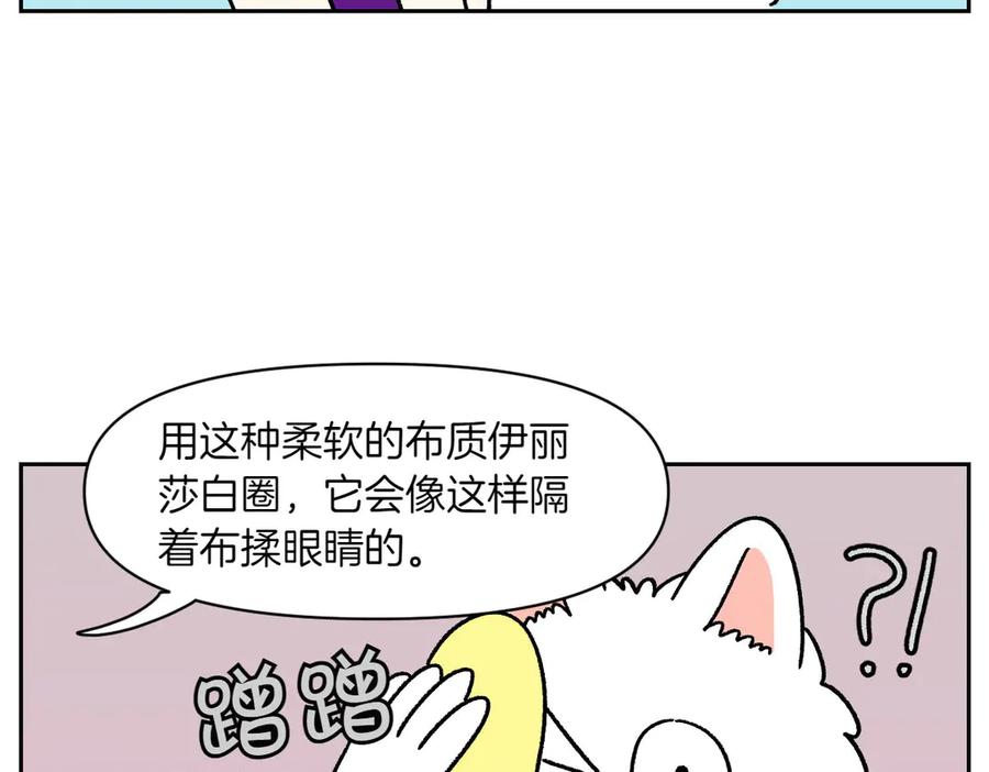 《我的狗子叫棉花》第43话 治疗眼病(2) 第36页