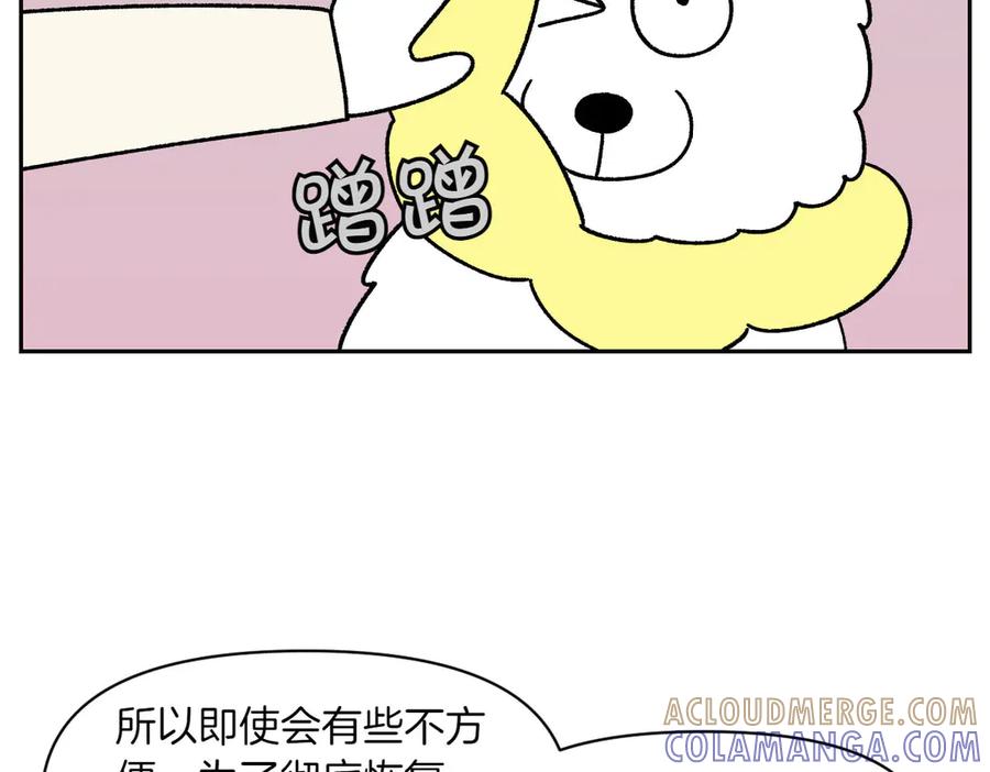 《我的狗子叫棉花》第43话 治疗眼病(2) 第37页