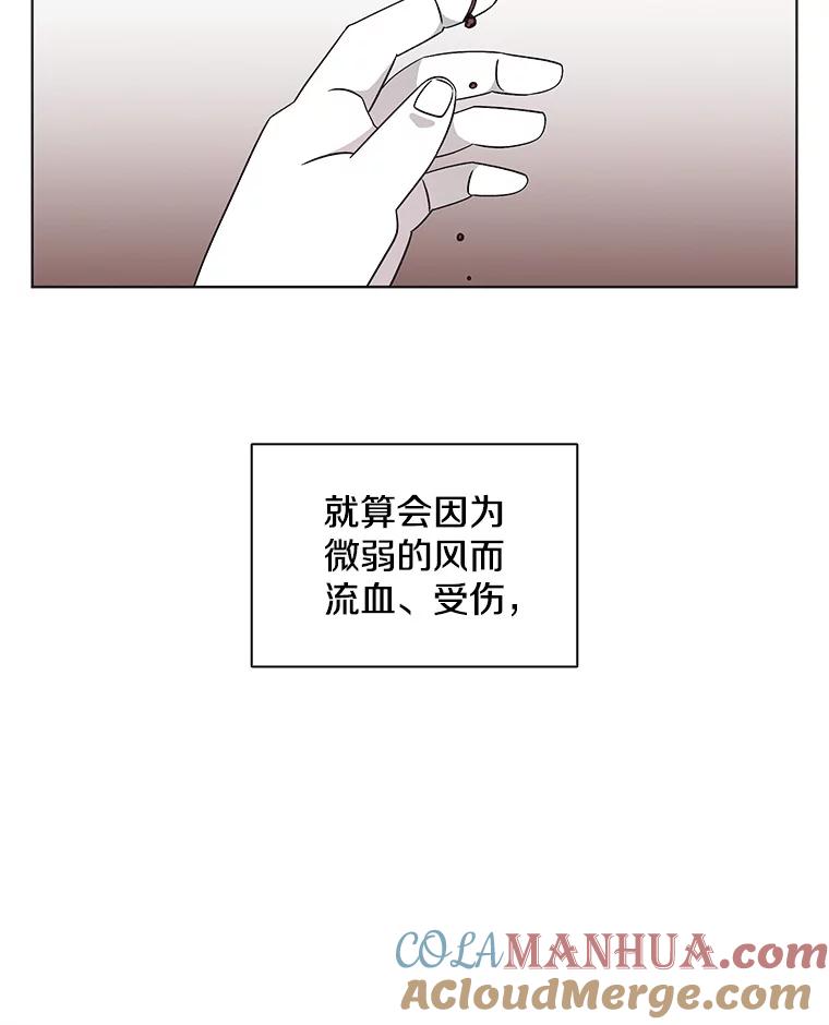 《主妇杀手》123.赚钱（5） 第77页