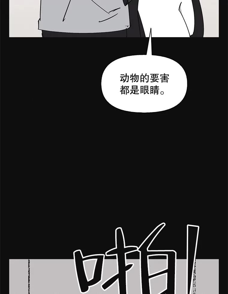 《主妇杀手》137.夜晚的陷阱（6） 第15页